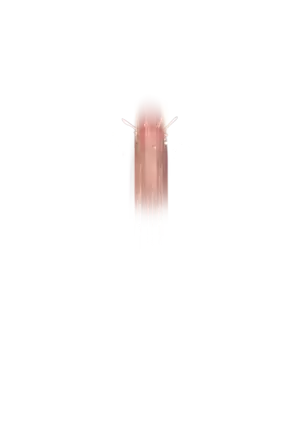 Yuuka-Chirabatta Daiyoukai no Kakera-