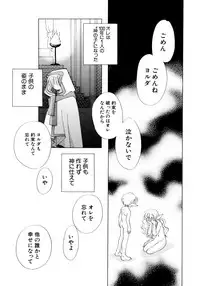 [Nagareboshi Hikaru] Tokubetsu na Hi