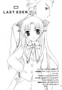 (Mimiket 10) [LAST EDEN (Amane Mari)] Infinite Emotion (Fate/stay night)