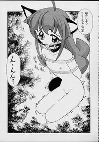 (C56) [M.R Products] Fancia Ikusei Nikki (Fancia)