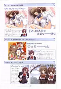 Otome wa boku ni koi shiteru Visual Fanbook (Otoboku)