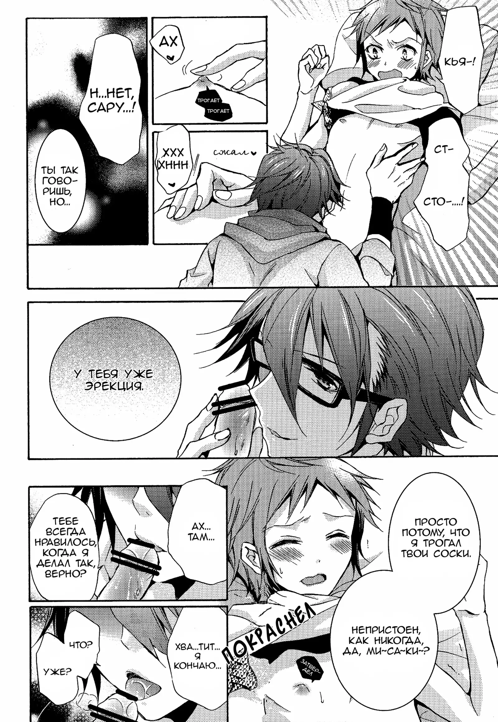 Shiawase no Kuroi Tori | A Black Bird of Happiness