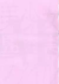 (SC4) [Hakuhakukan (Haku)] Bishoujo Kankin File VI