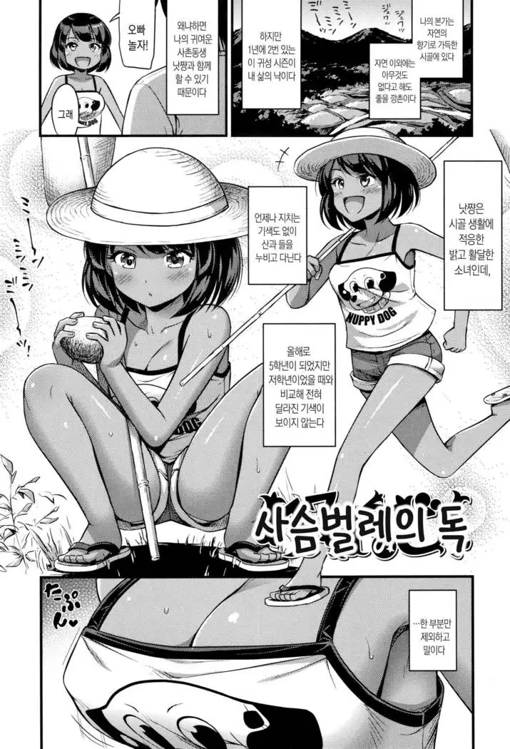 Oppai, Futomomo, Sokoni Short Pants