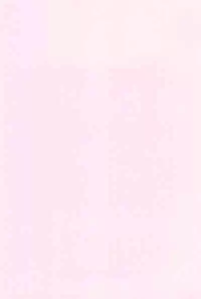 Koufuku no Hanayome Koufuku no Hanamuko