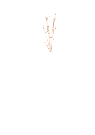 Yuuka-Chirabatta Daiyoukai no Kakera-