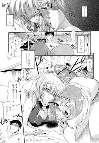 [Noraneko Nagaya] Horoama Omocha Hako