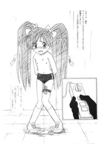 [Sangetsushi (OKIRAM)] Mao no Carnival (Rikujou Bouei-tai Mao-chan)