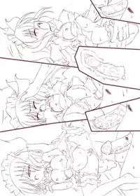 (C75) [Schwester (Shirau Inasaki) Rollin 30 (Touhou Project)