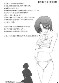 (C69) [Zattou Keshiki (10mo, Okagiri Sho)] Zattou Keshiki/hollow ataraxia (Fate/hollow ataraxia)