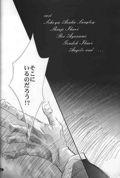 <Shinyaku> NEON GENESIS document R