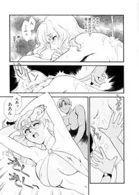 [Fujii Akiko, Akiyama Michio] Hitozuma Moyou 3 Midarezuma