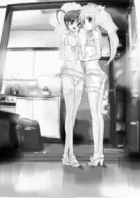 [Missing Paradise] Nanofelife - Nanoha & Fate & Me (Mahou Shoujo Lyrical Nanoha) [Chinese]