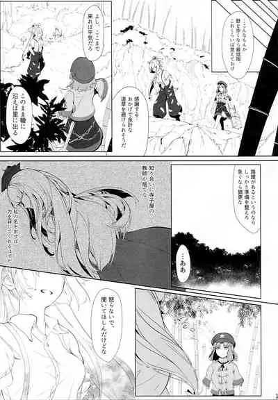 (C93) [Flying Bear (Hiyou)] Miyako Hyakkei Chukan (Touhou Project)