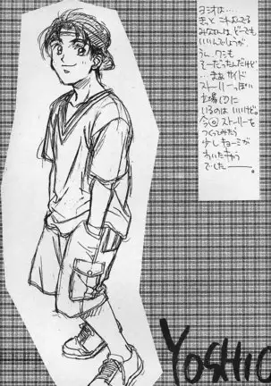 Piyoko no Pi Zoukan 3 TOKIMEKI TEKKEN BIO HAZARD