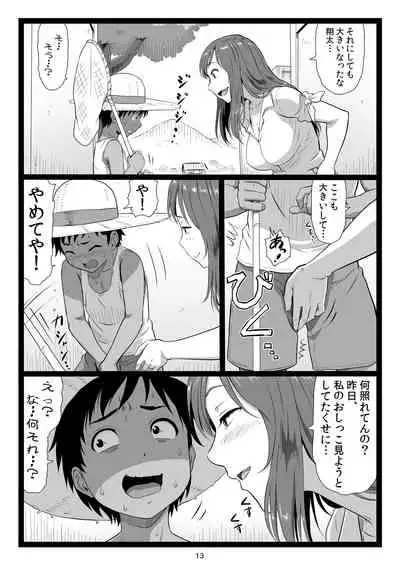 Natsuyasumi no Omoide Joukan