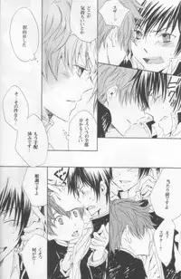 NO SIGNAL (CODE GEASS: Lelouch of the Rebellion)