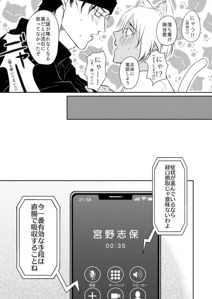 DON'T CRY MY KITTY!!