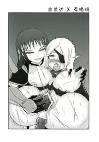 Shield Knight Elsain Vol.11 "NETHER LABORATORY"