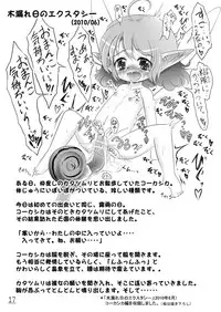 [Jereheim Garden (Midoriko)] Ecstasy Daizukan! Vol. 1 [Digital]