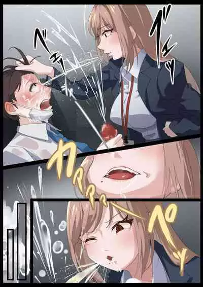 Birei sama no tsuba seme