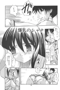 (C71) [Acid Noel (Mitsuki Rintarou)] LOST in my heaven (Various)