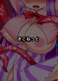 [Kikonet (Akijou Onigo)] Inshokute (Touhou Project) [Digital]