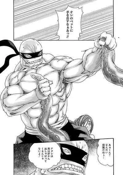 Araxa Ninpo-Cho Vol.5