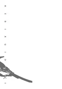 [Megu Iroha] Hebikui Tori