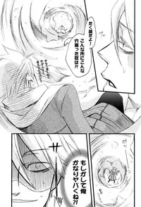 (C77) [Chemical Drop (Kirigaya Kari)] Prima l'amore (Lucky dog 1)