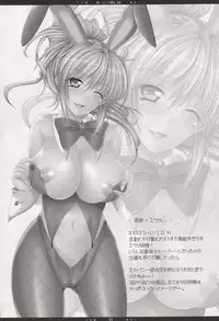 (C73) [HAPPY WATER (Kizaki Yuuri)] Oojiibon EX (Super Robot Wars)