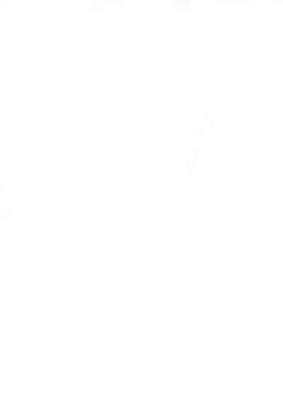 Oshibori Kuro Elf-san