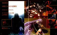 Fate/stay night Premium FanBook