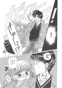 [Kirisawa Mint] Shojyo Koutan