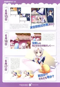 Tsunagaru Bangle - Visual Fan Book