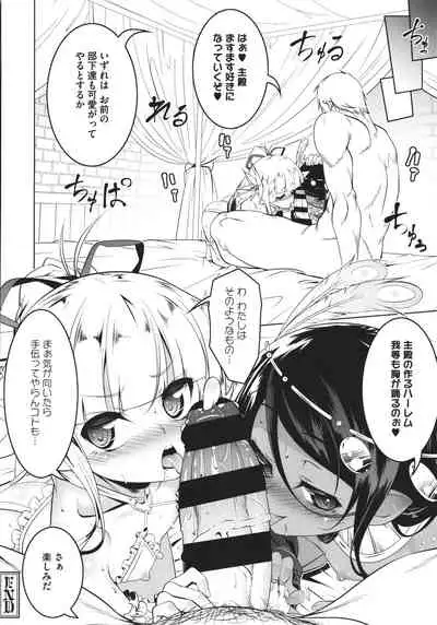 [Tanabe Kyou] Tsurupeta Shugo Kishi Elfina Ochiru