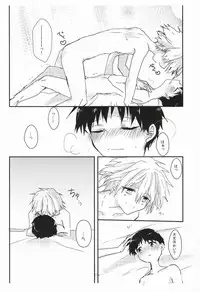 (Kimi to no Rendan 6) [obake (Sakuma)] Once Swan (Neon Genesis Evangelion)