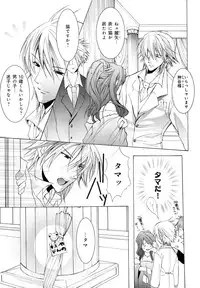 [Anthology] b-BOY Phoenix Vol.7 Tshi no Sa Tokushuu