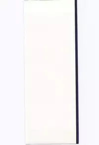 [Ozuno Mahou] YOGOTO no Majo