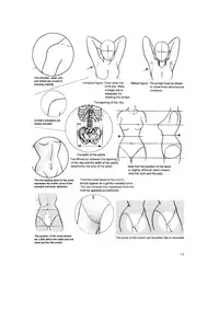 Hikaru Hayashi - Techniques For Drawing Female Manga Characters