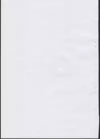 (C84) [Potato Salad (Kurisu)] Soniconico! (Super Sonico)