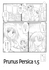 (COMIC1☆2)[[Yakan Honpo & Yakan Hikou (Inoue Tommy)] Prunus Persica 1.5 (Fate/stay night)