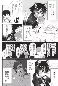 (COMITIA112) [Nikomutoko (Nabenco)] Robo Neko no Shitsukekata