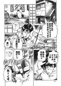 [THE SEIJI] Hitozuma Seitai Zukan