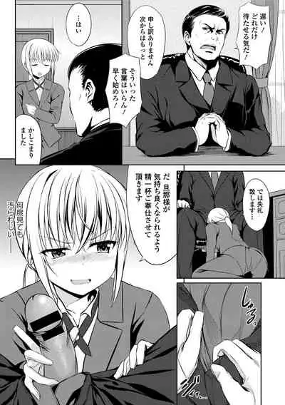 Hataraku Onee-san no Himitsu
