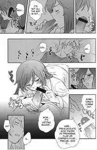 Perfect Plan (English)