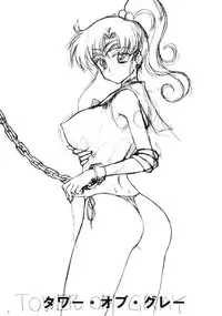 (C77) [Black Dog (Kuroinu Juu)] TOWER OF GRAY (Sailor Moon)