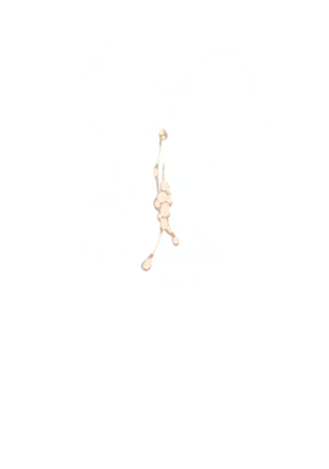 Yuuka-Chirabatta Daiyoukai no Kakera-