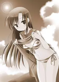 (C76) [Nagiyamasugi (Nagiyama)] Hinagiku no Himitsu 4 (Hayate no Gotoku!)