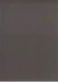 [アビオン村(ジョニー)]BADEND GRANBLUE(グランブルーファンタジー)